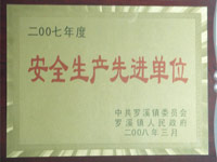 2007年度安全生产先进单位