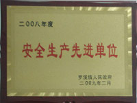 2008年度安全生产先进单位