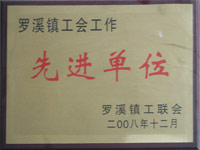 2008罗溪镇工会先进单位