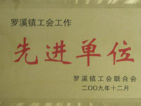 2009罗溪镇工会先进单位